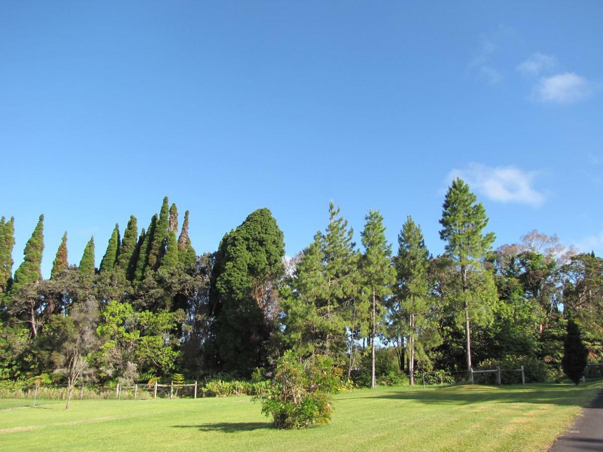 At The End Of The Road Bed And Breakfast Volcano Exterior foto